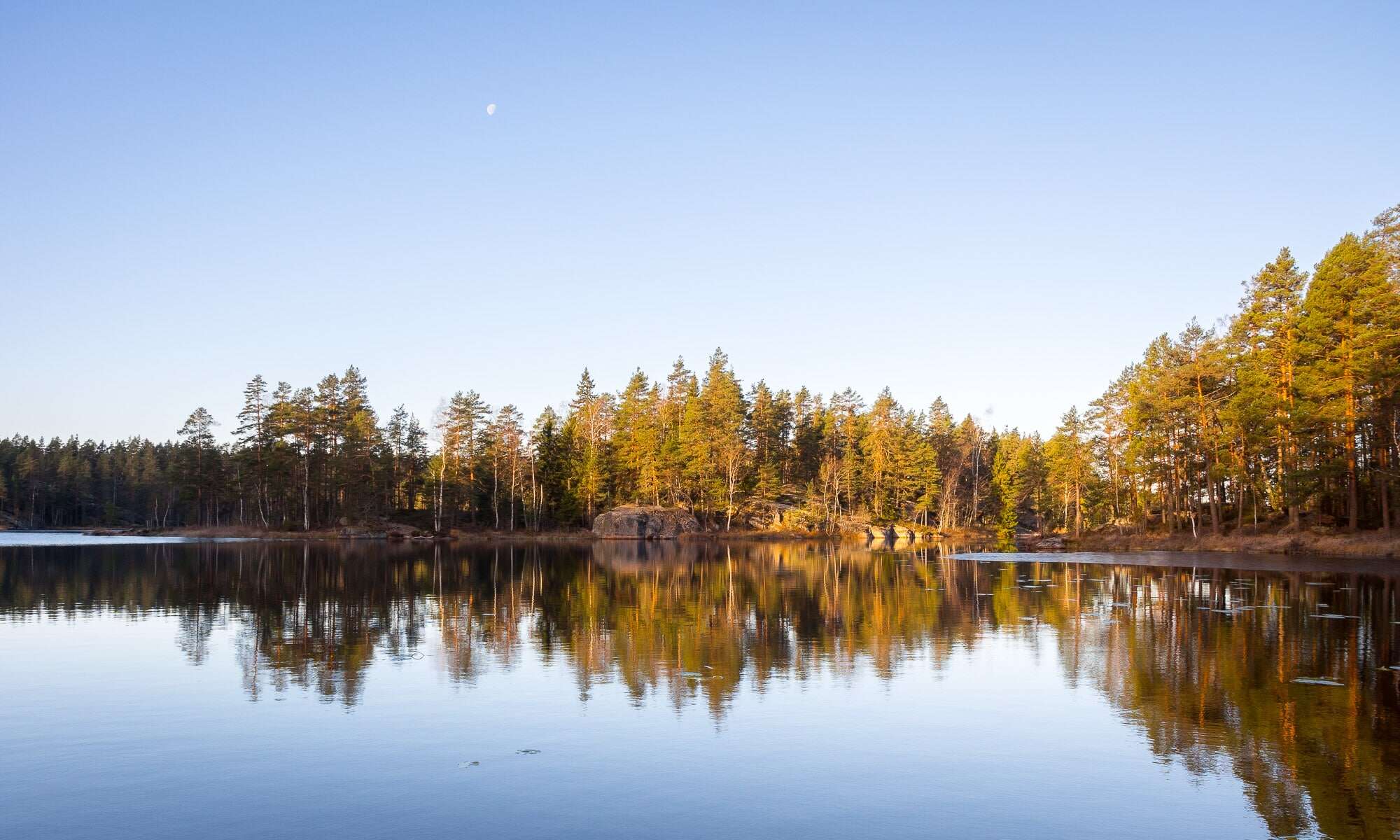Nuuksio National Park in fall. The low-hanging sun of October, November and December make the landscape feel magical. Nature near Helsinki, Finland.