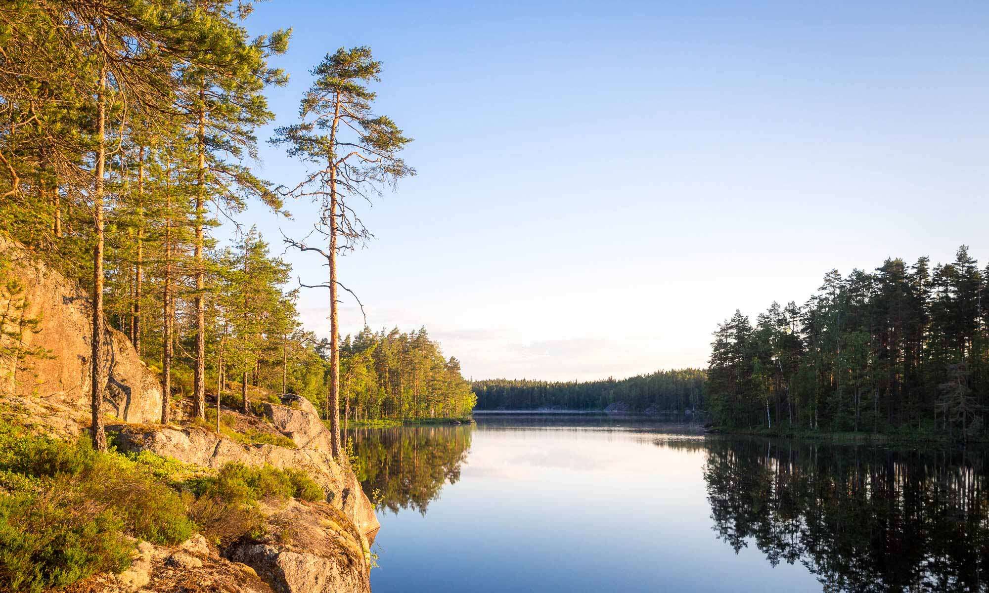 Nuuksio National Park in summer, in June. Summer in Finland is clear lakes and forests. Finnish nature near Helsinki, Finland.
