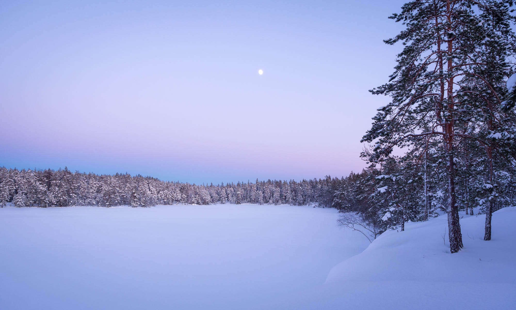 Nuuksio National Park in winter. Whole landscape covered in snow. Finnish nature near Helsinki, Finland.