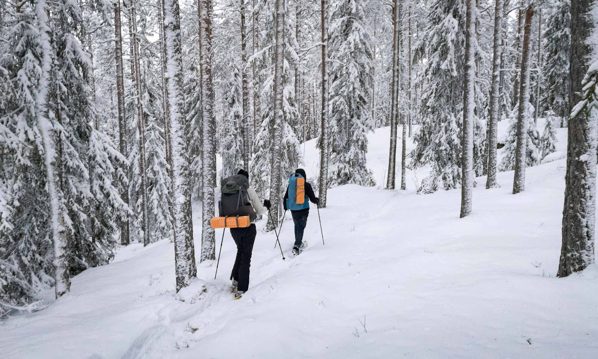 Helsinki hiking tour in winter