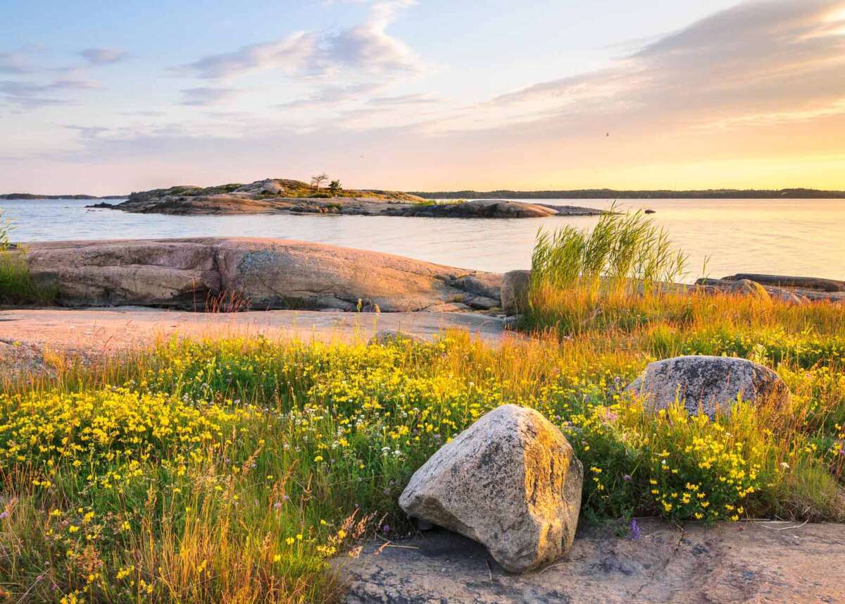 Finland's archipelago by Helsinki in July. Best of Baltic Sea summer with flowers and peace. Nature in Finland, Helsinki.