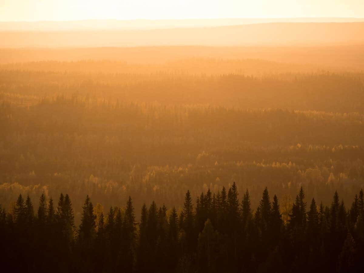 Auringonlasku Kolin huipulta.