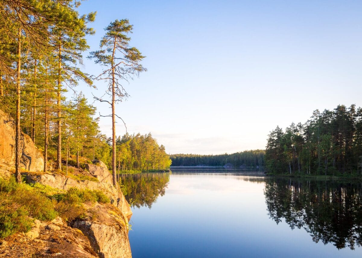 Forest and lakes of Nuuksio National Park