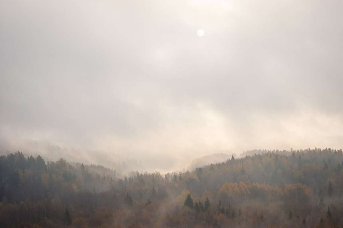 Nuuksio National Park in fall. Sun rising over the national park on a foggy morning in October.