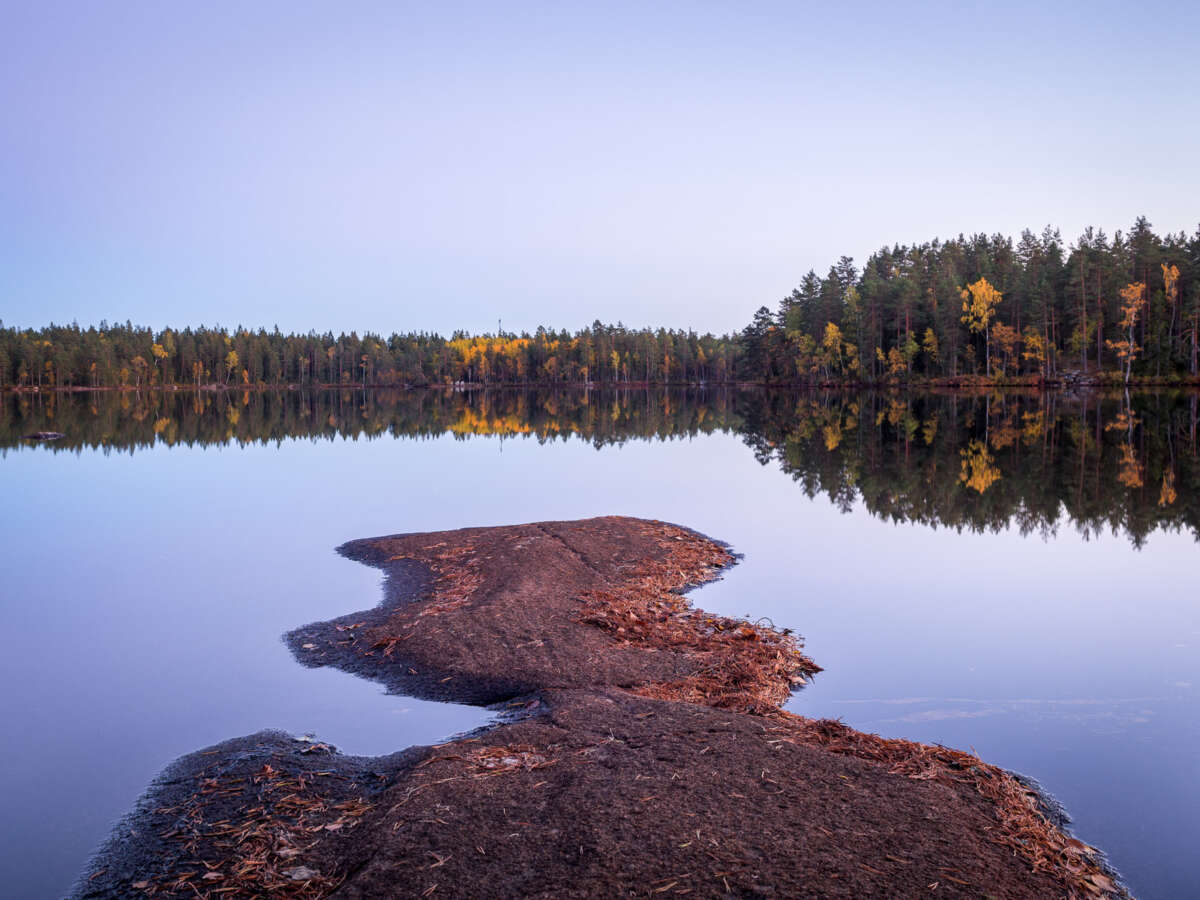 Nuuksio National Park in fall, in October. Calm, clear lake after sunset. Finnish nature near Helsinki, Finland.