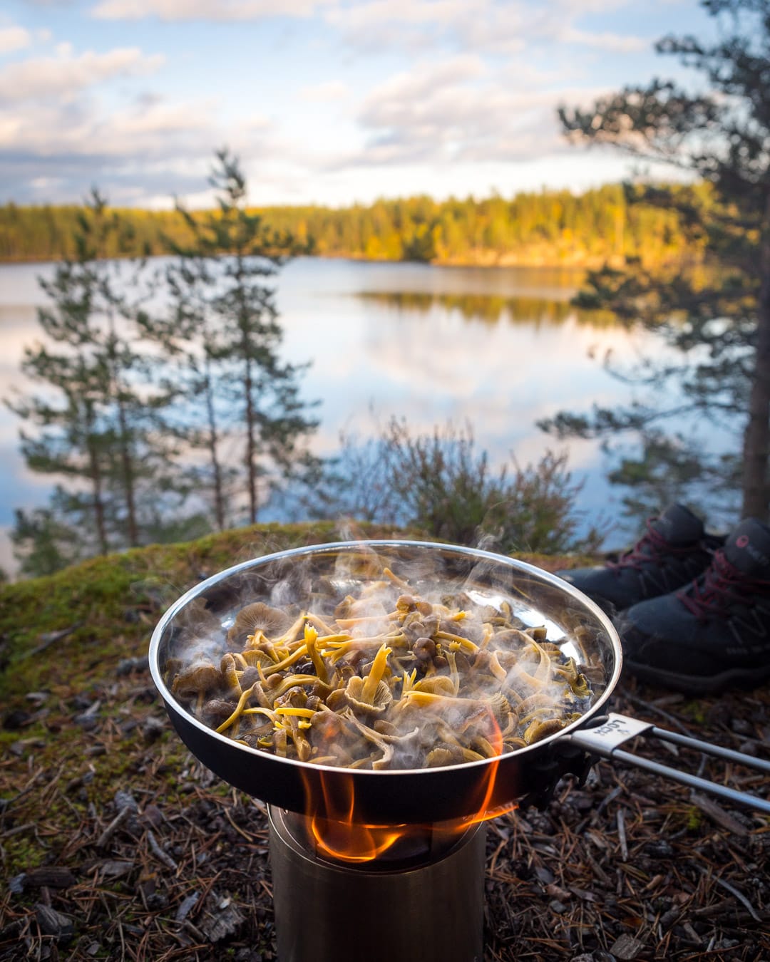 Finnish Friend | Guided Hiking Tours in Nuuksio National Park