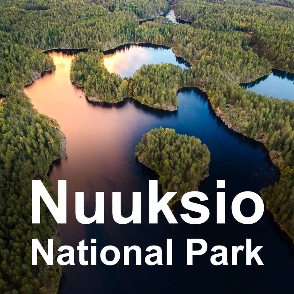 Guided hiking your in Nuuksio National Park, Helsinki, Finland.