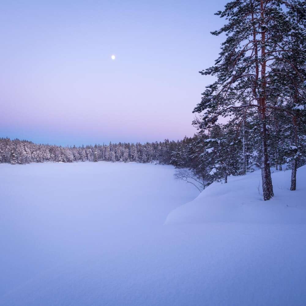 Nuuksio National Park near Helsinki in Winter.