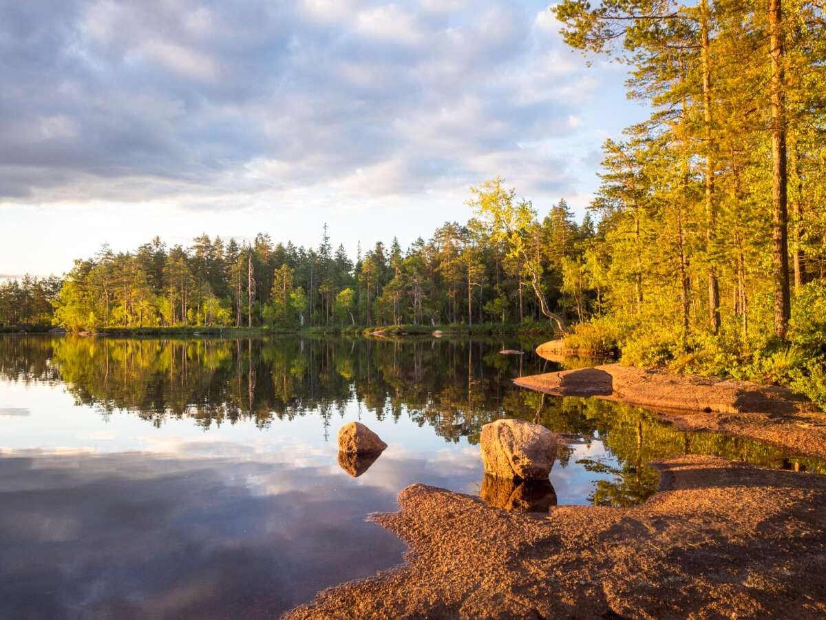 Nature Photos From Nuuksio National Park Finnish Friend