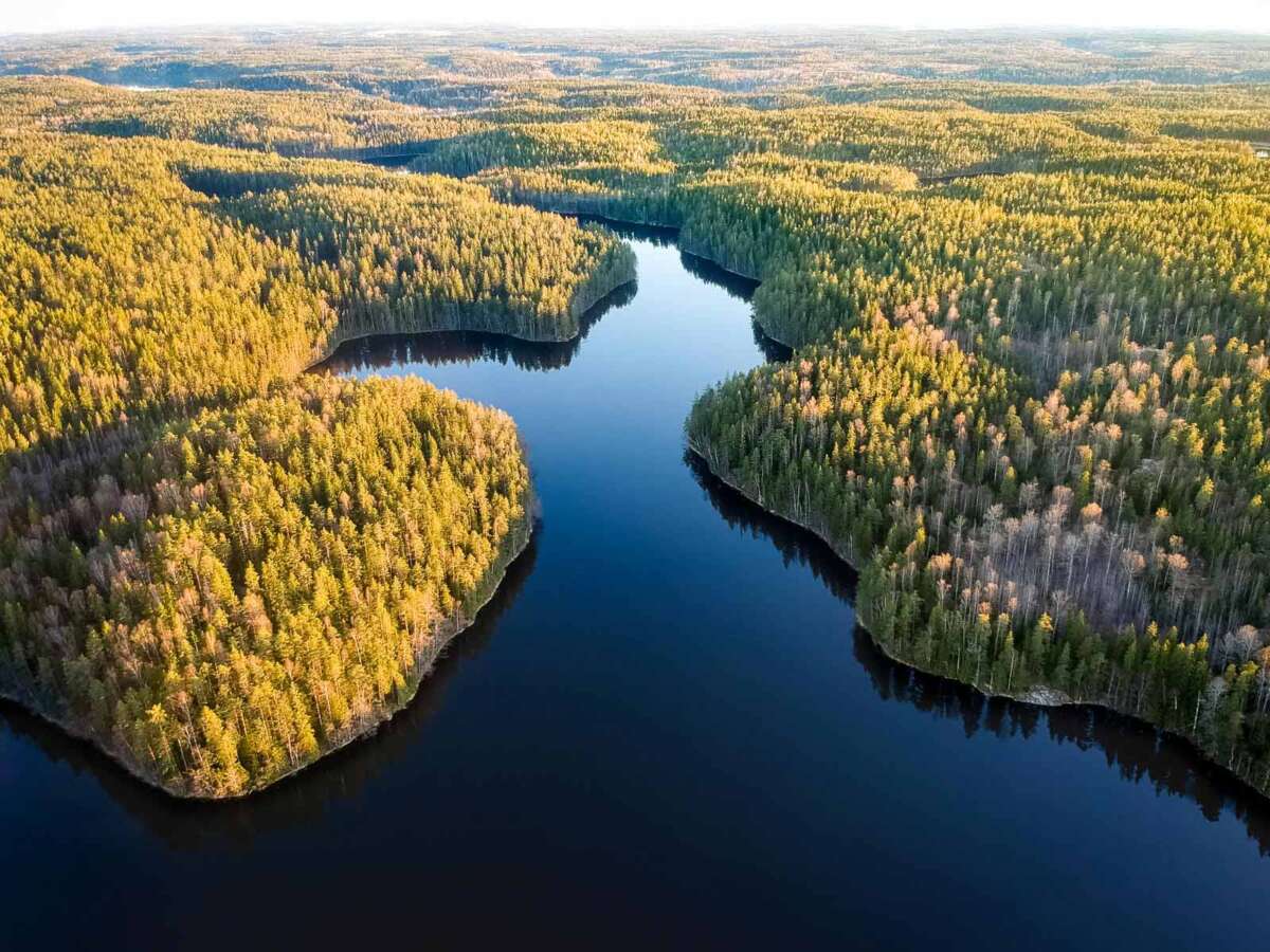 Nuuksio National Park in spring in May. Quiet side of the national park, the trails are hidden deep in the woods. Finnish nature near Helsinki, Finland.