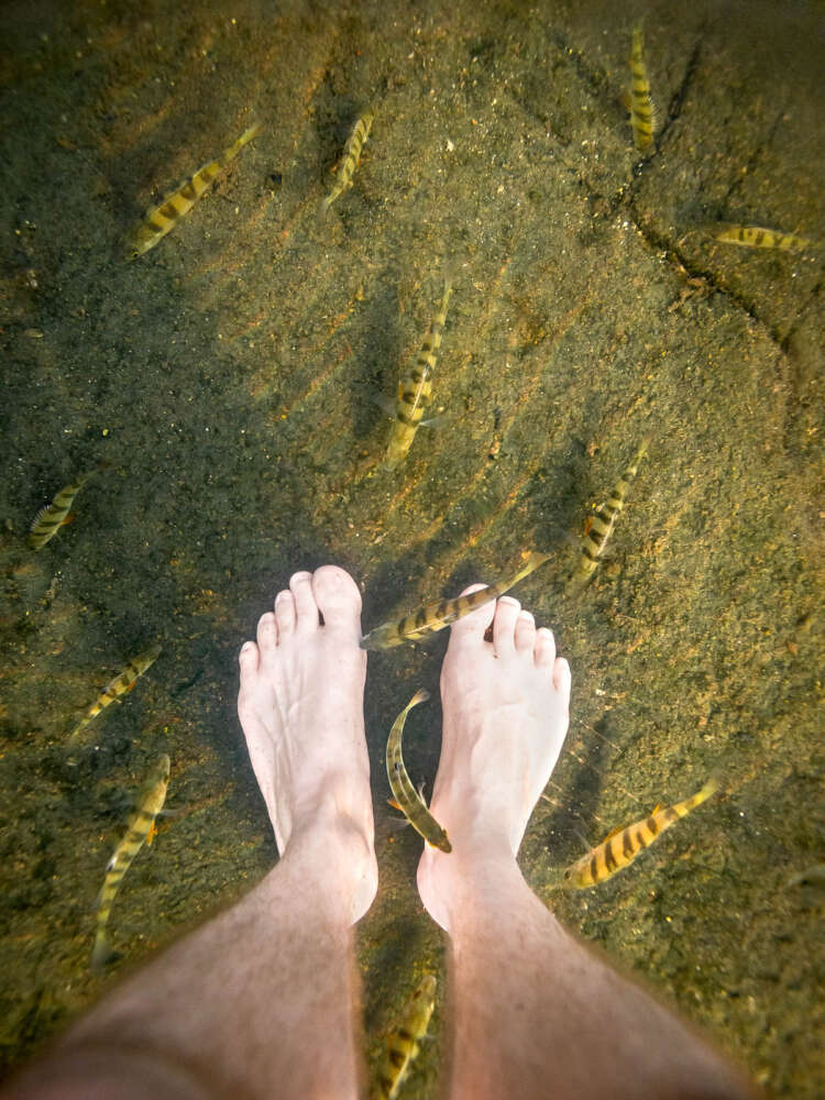 Nuuksio National Park in summer, in August. Swimming in the clear lakes. Finnish nature near Helsinki, Finland.