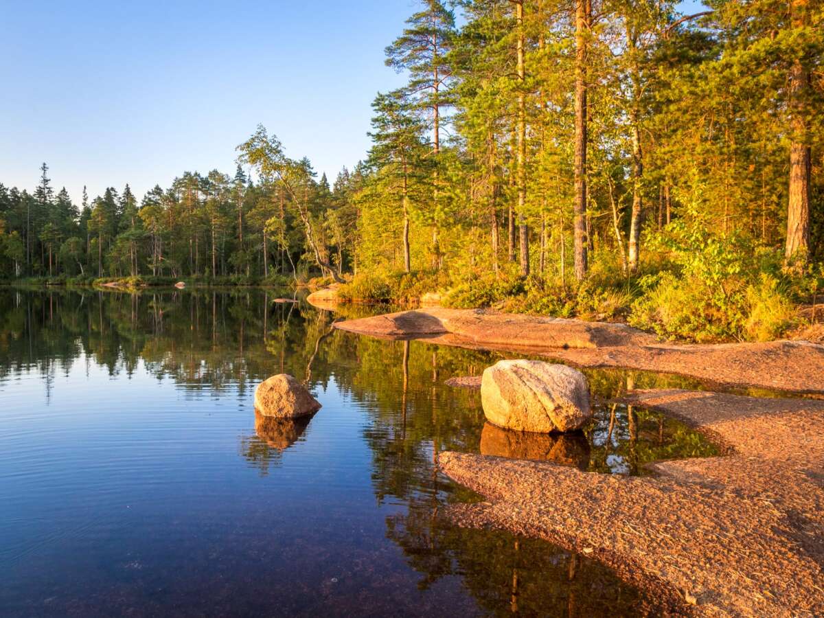 Nuuksio National Park in summer, in August. Calm lake in the forest, this is Finnish nature at it's best. Finnish nature near Helsinki, Finland.