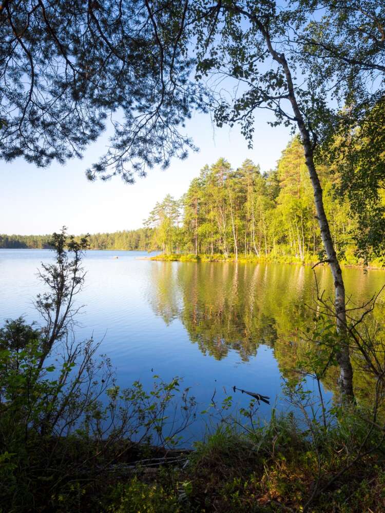 Nuuksio National Park in summer, in August. One of the best places in Nuuksio. Finnish nature near Helsinki, Finland.