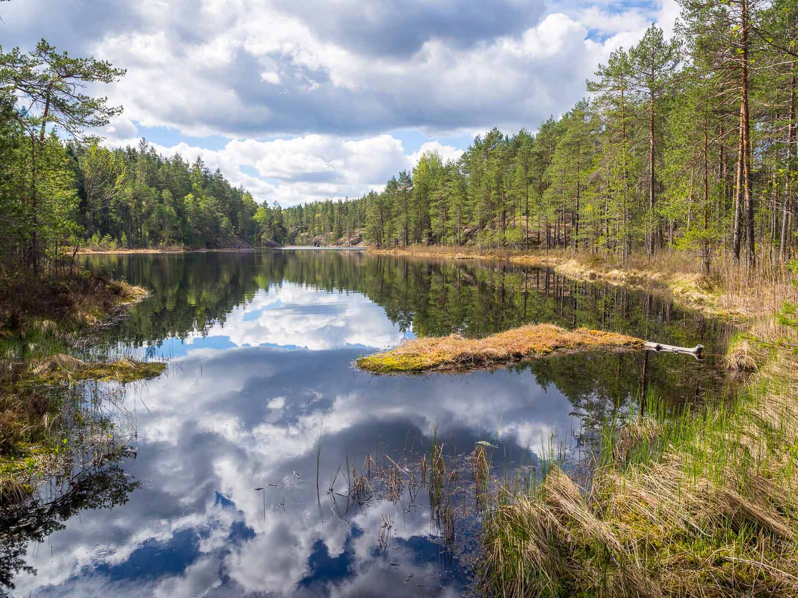 Nuuksio National Park in summer. Weather can change every day. Nature near Helsinki, Finland.