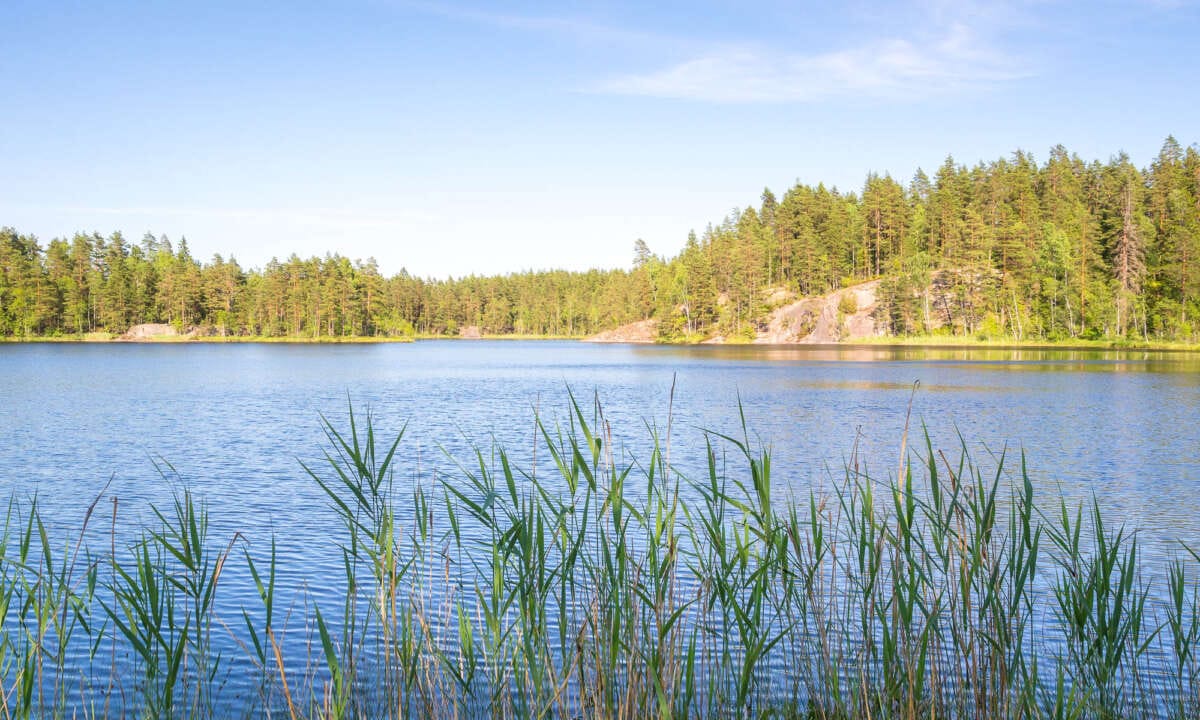 Nuuksio National Park in summer. Very warm day for hiking and swimming in the lakes. Nature near Helsinki, Finland.