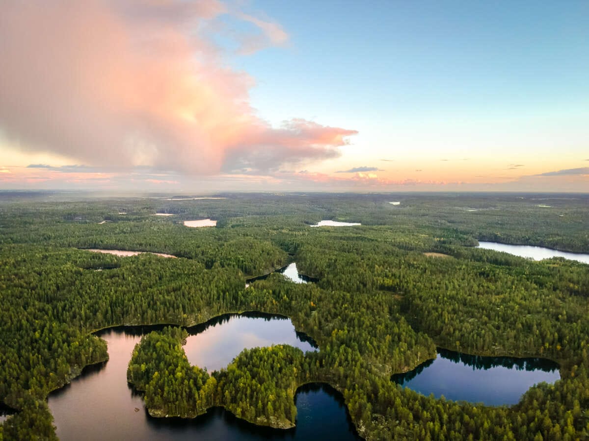 Nuuksio National Park in summer. Aerial photo of the lakes and forest. Nature in Finland, Espoo, Vihti, Helsinki.