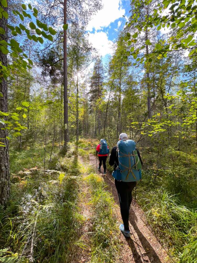 Guided trekking tour in Nuuksio National Park