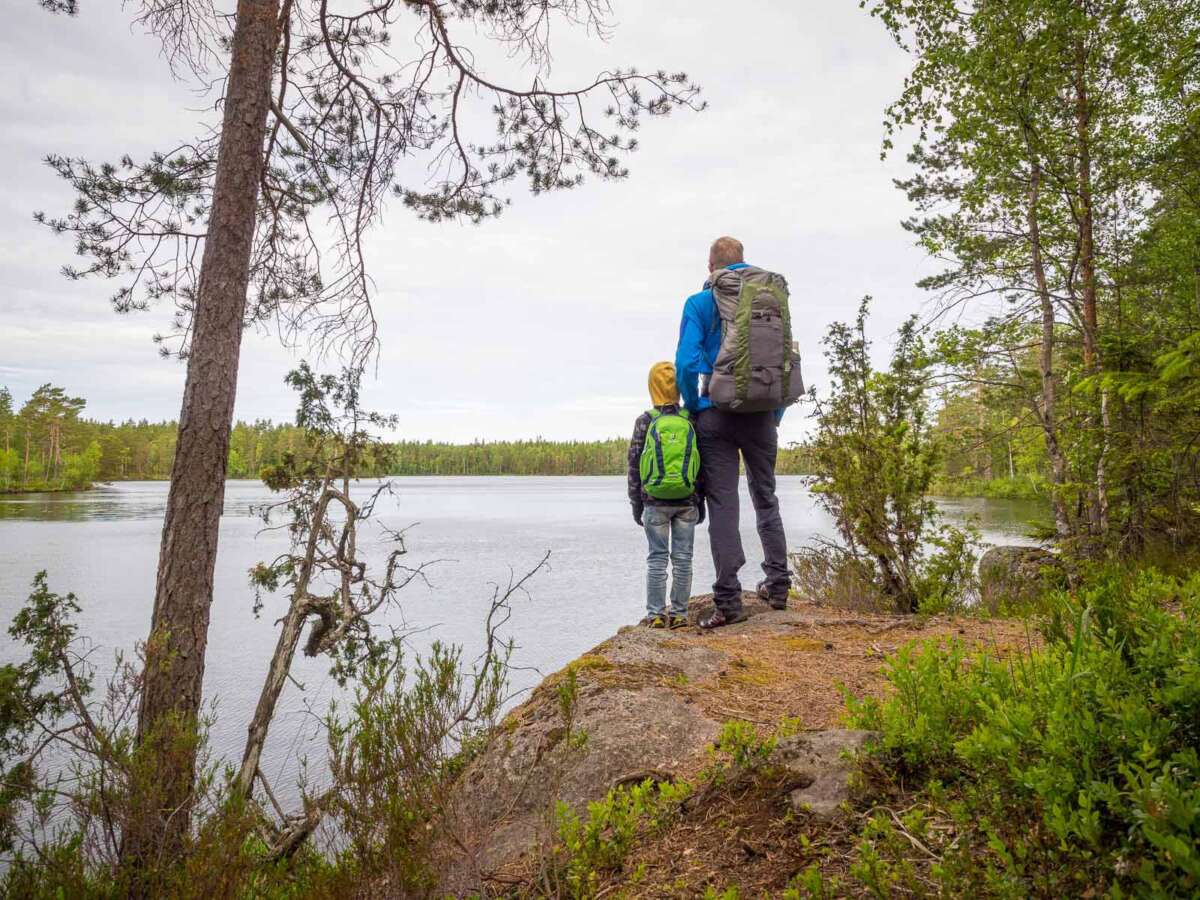 Nuuksio National Park in summer, in June. Relaxing by the lakes. Finland's nature near Helsinki, Finland.