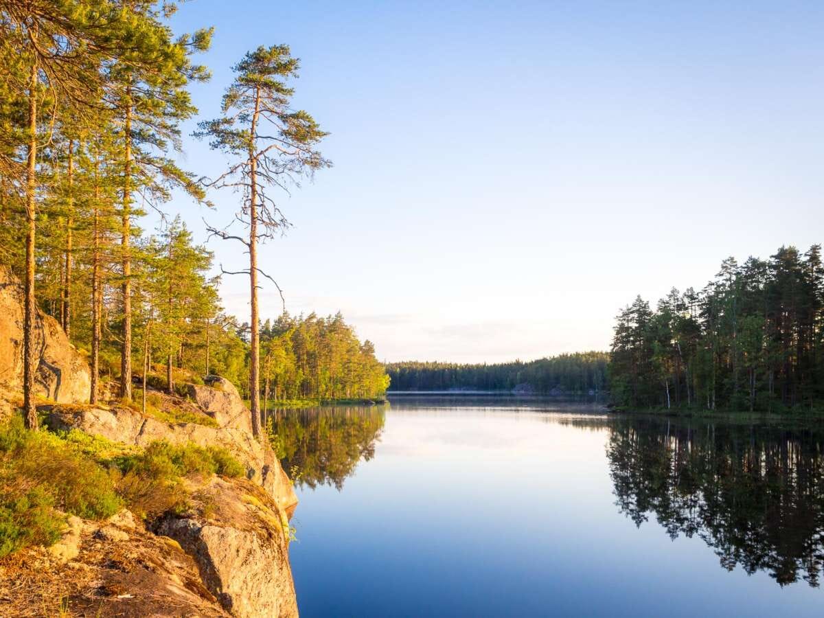 Nuuksio National Park in summer in June. Summer in Finland is clear lakes and forests. Nature near Helsinki, Finland.