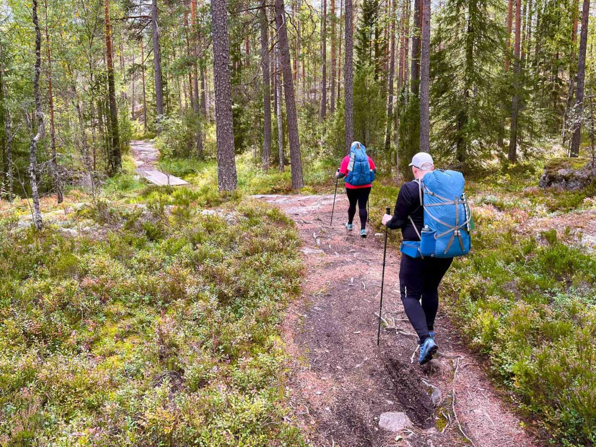 Trekking in Nuuksio National Park