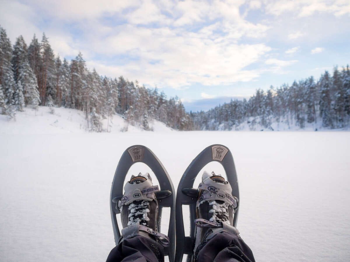 Nuuksio National Park in winter. Snowshoes and a quiet forest. Finnish nature near Helsinki, Finland.