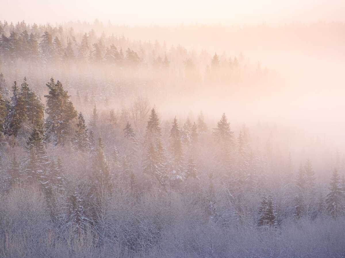 Nuuksio National Park in winter. A very cold December morning with mist floating at the bottom of a valley. Nature near Helsinki, Finland.