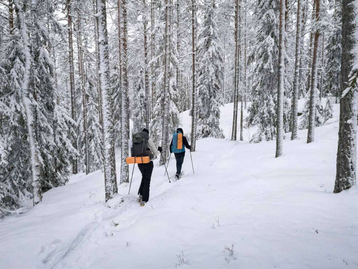 Snowshoe hike and camping from Helsinki