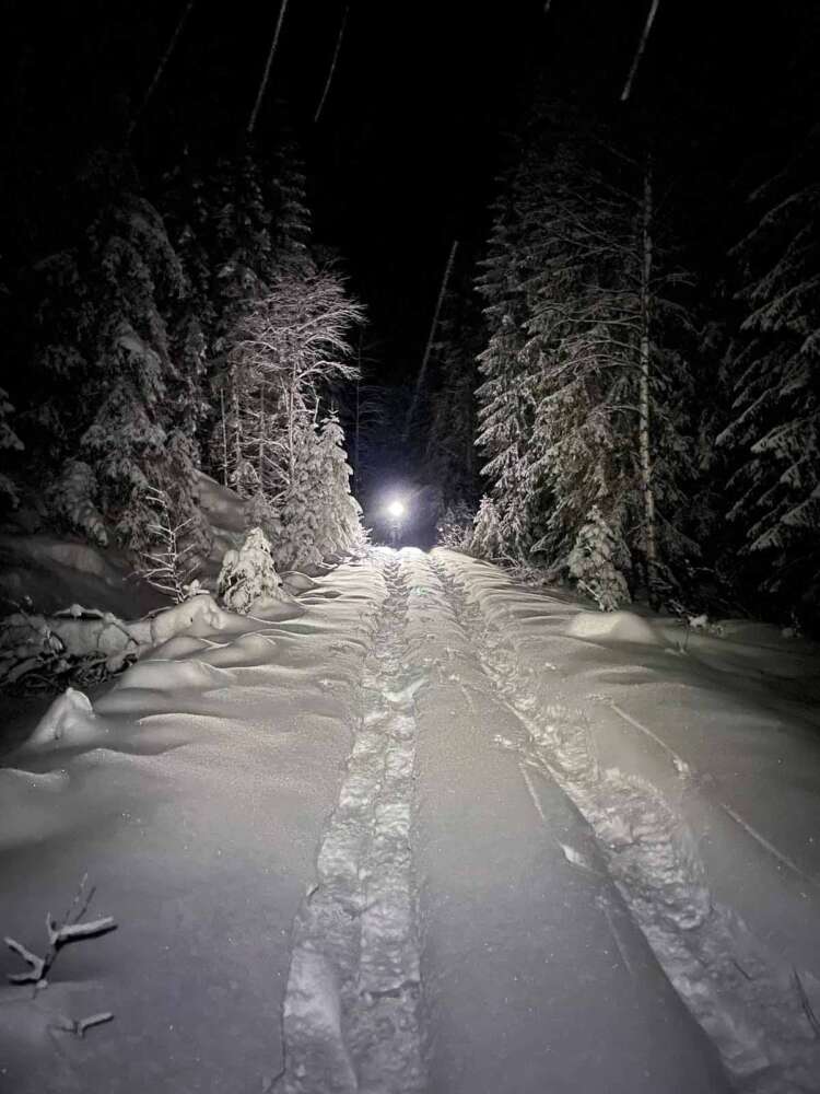 Snowshoeing in darkness in Nuuksio National Park