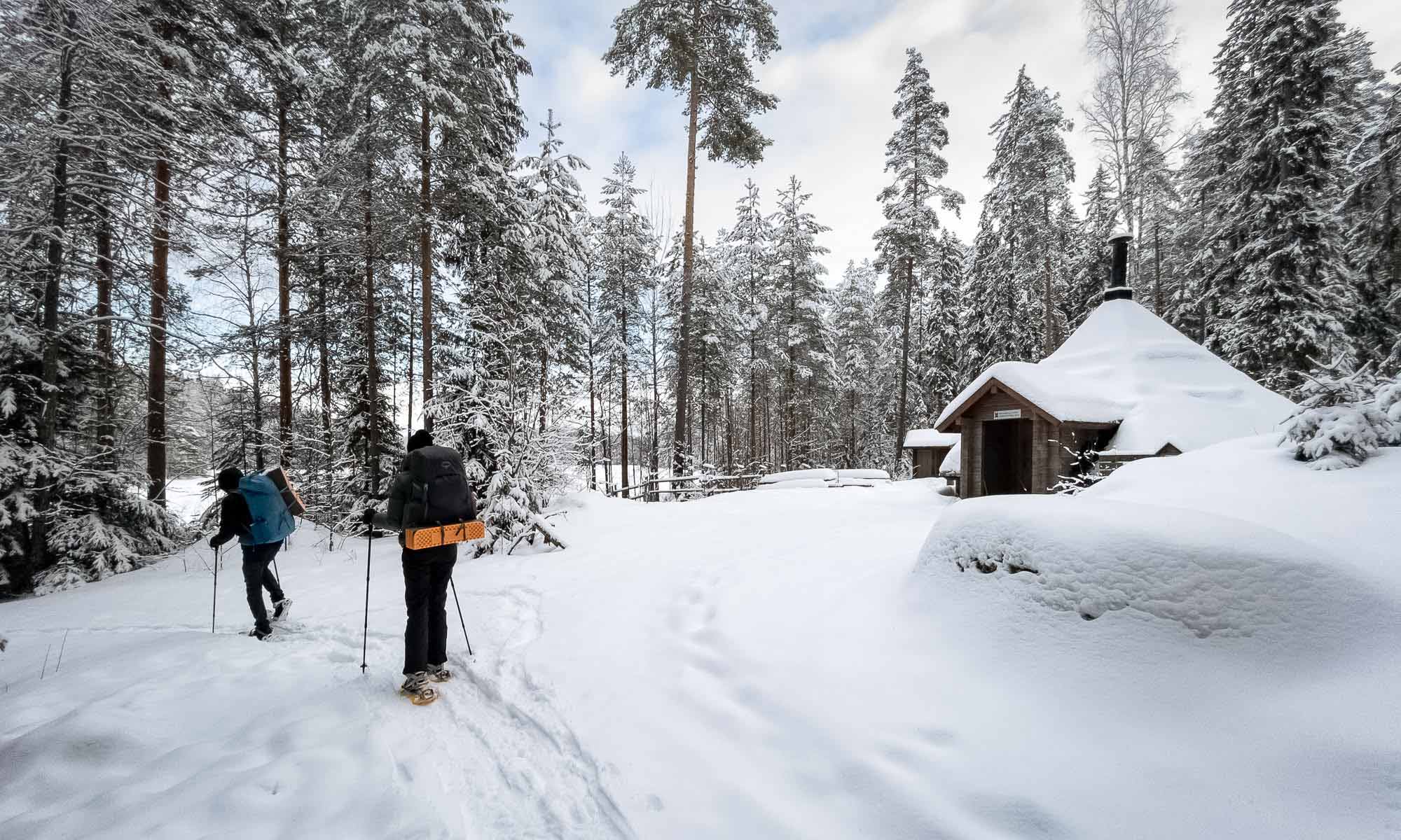 Winter hiking tour in Repovesi National Park
