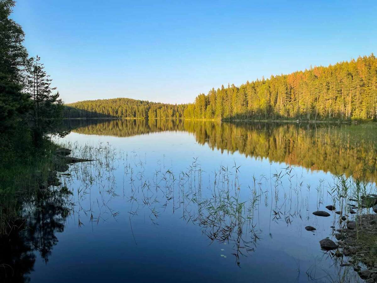 Lakes and forest of Repovesi National Park.