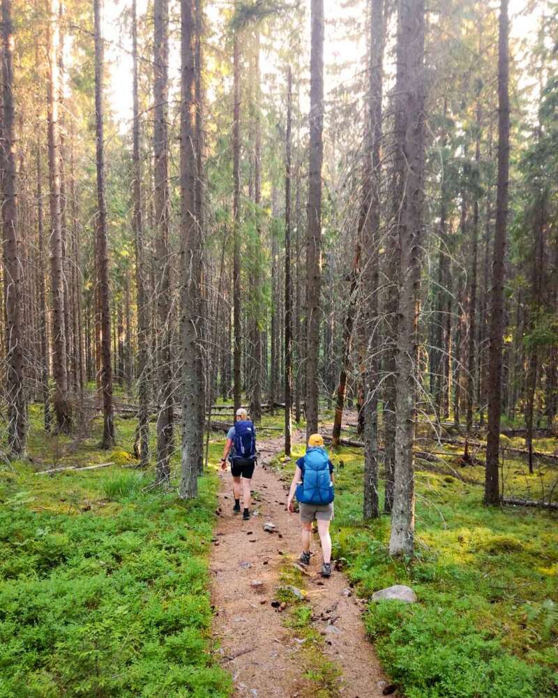 Hiking in Repovesi National Park