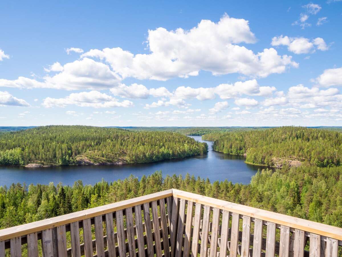 Repovesi National Park in summer, in June. Mustalamminvuori scenic tower. Nature in Finland near Helsinki.