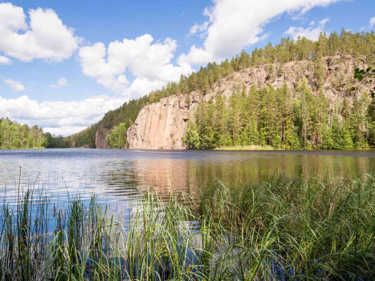 Repovesi National Park in summer, in June. Olhavanvuori, high cliff above forest and lakes.