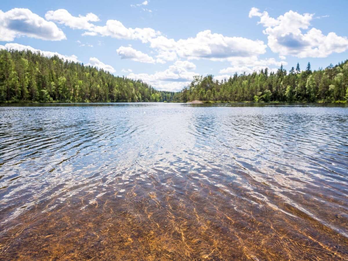 Repovesi National Park in summer, in June. Clear lakes and peace in the forest.