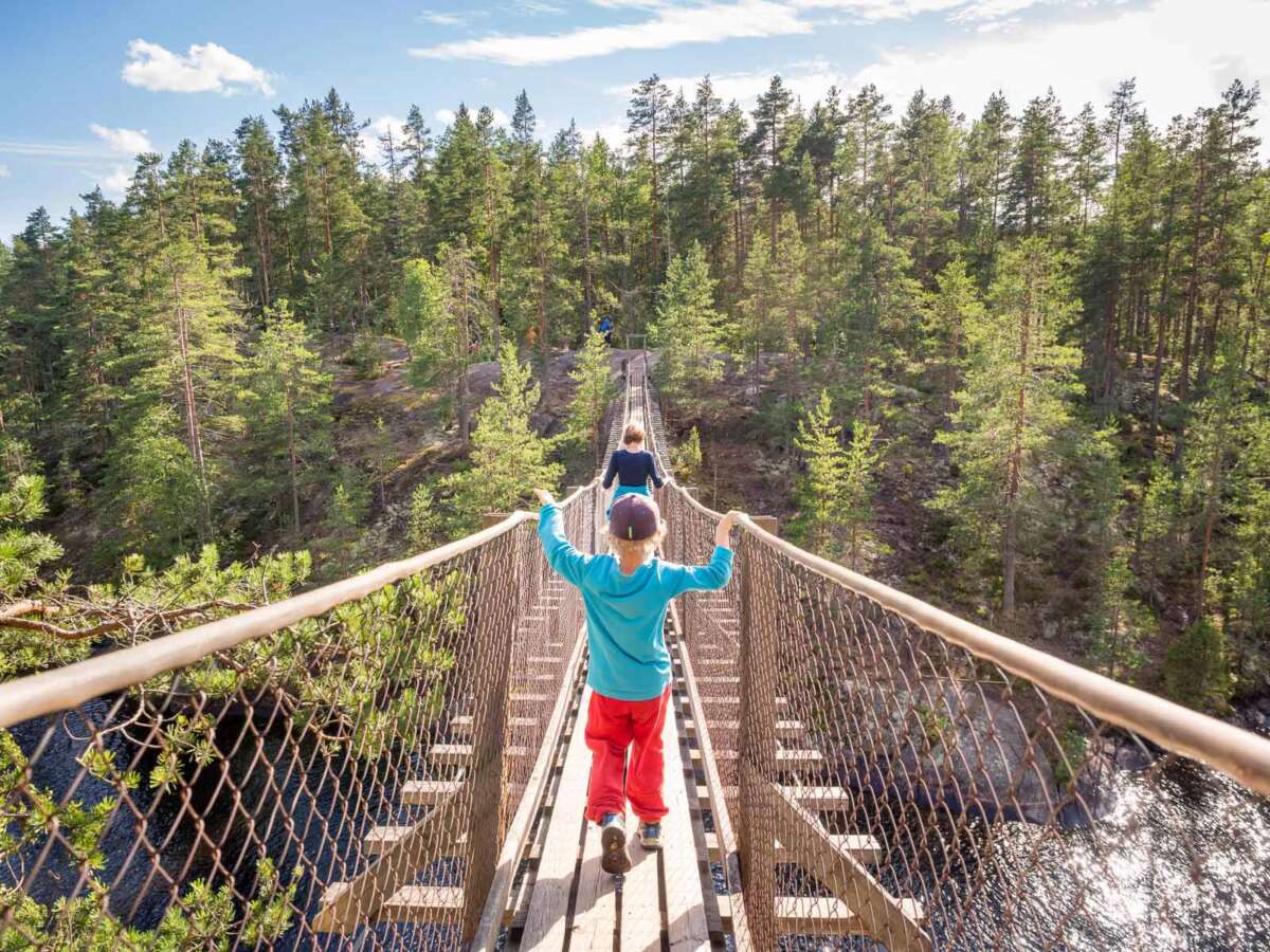 Repovesi National Park in summer, in July. Hiking adventure with children.