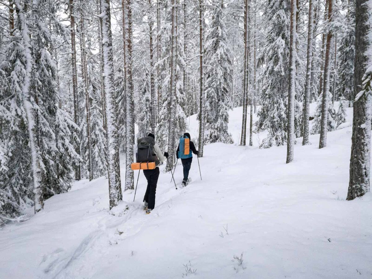 Two people snowshoeing in winter in Nuuksio National Park